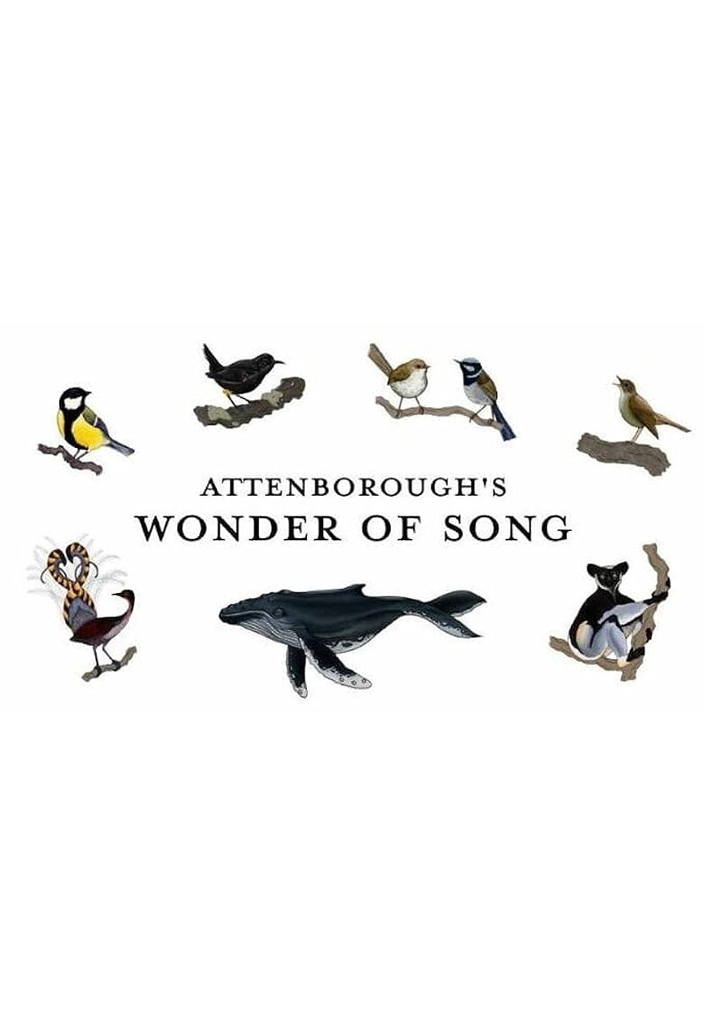 Attenborough's Wonder Of Song (2022)