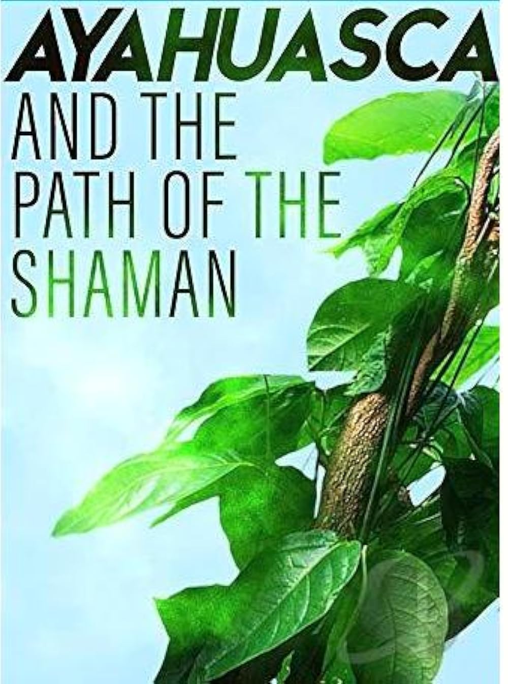 Ayahuasca And The Path Of The Shaman (2018)