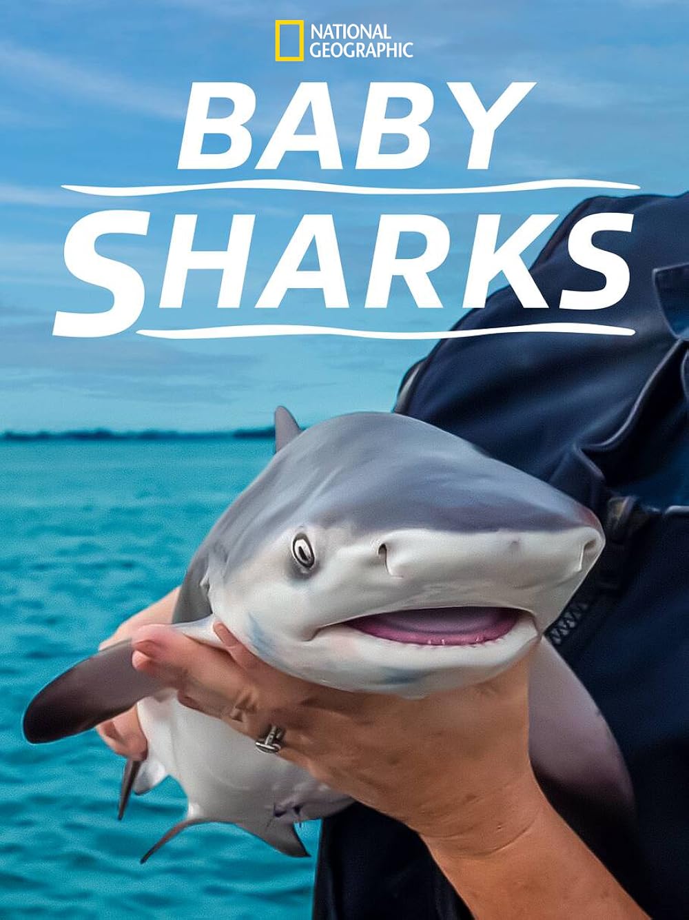 Baby Sharks (2022)