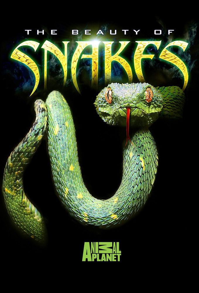 Beauty Of Snakes (2003)
