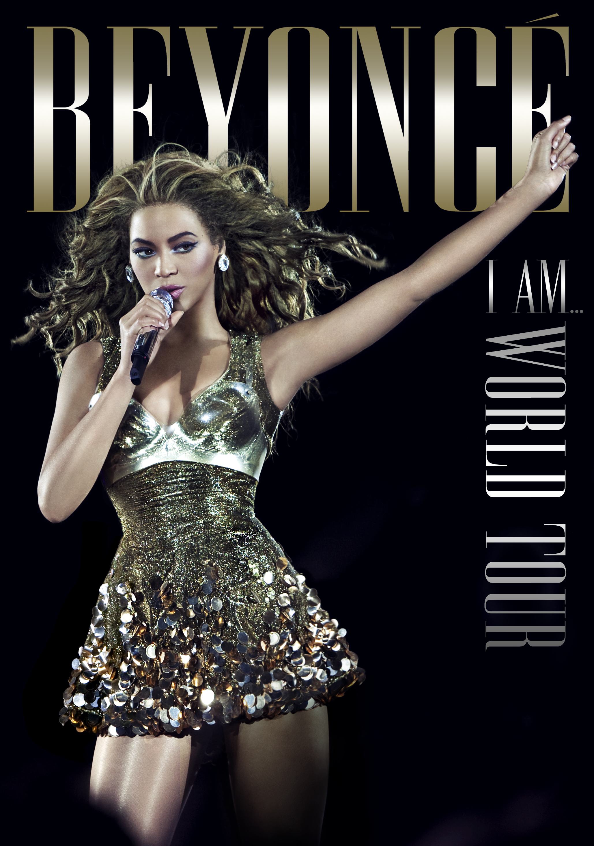Beyonce's I Am World Tour (2010)