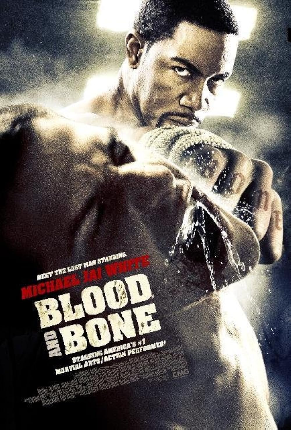 Blood And Bone (2009)