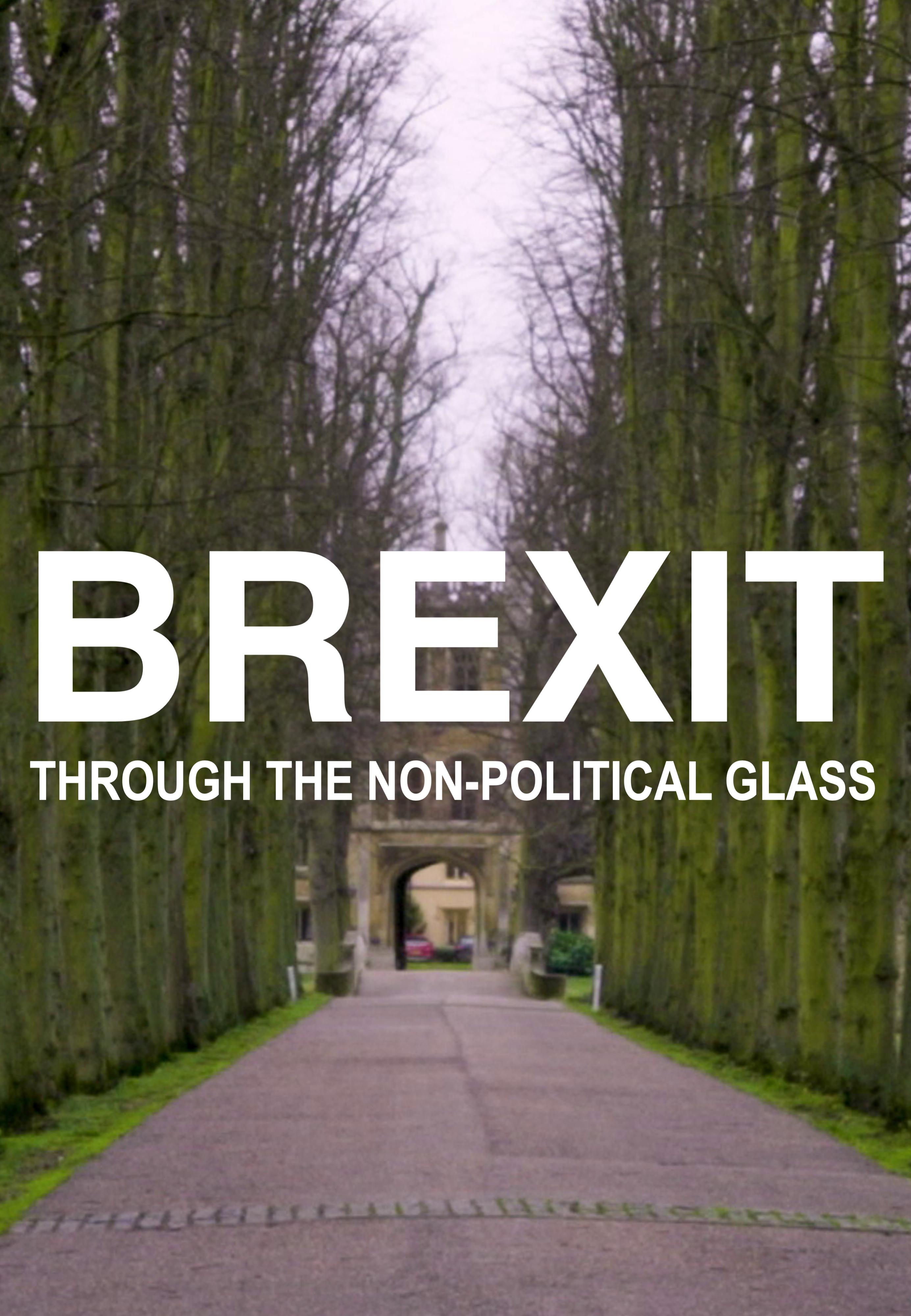 Brexit Through The Non-Political Glass (2021)