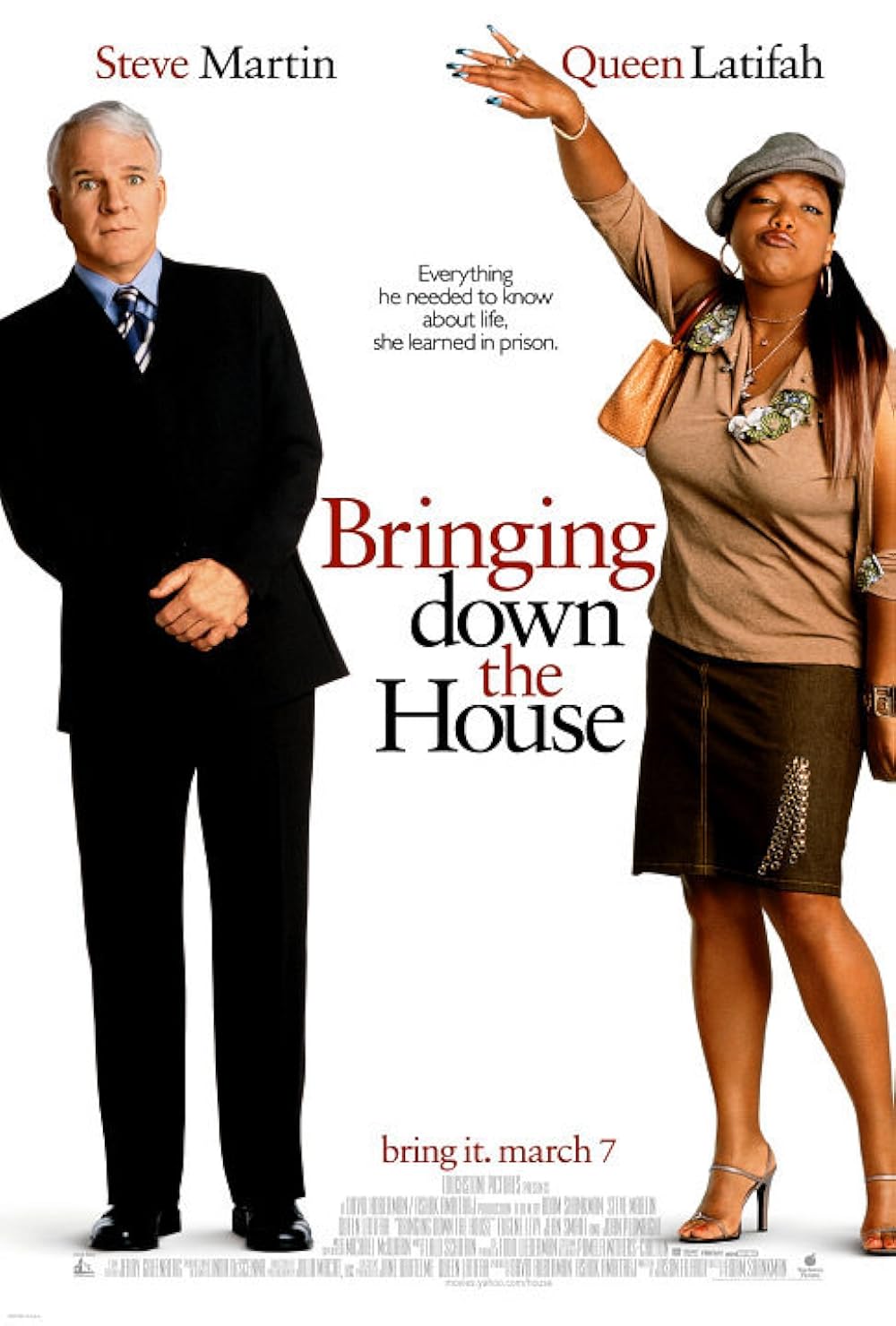 Bringing Down The House (2003)