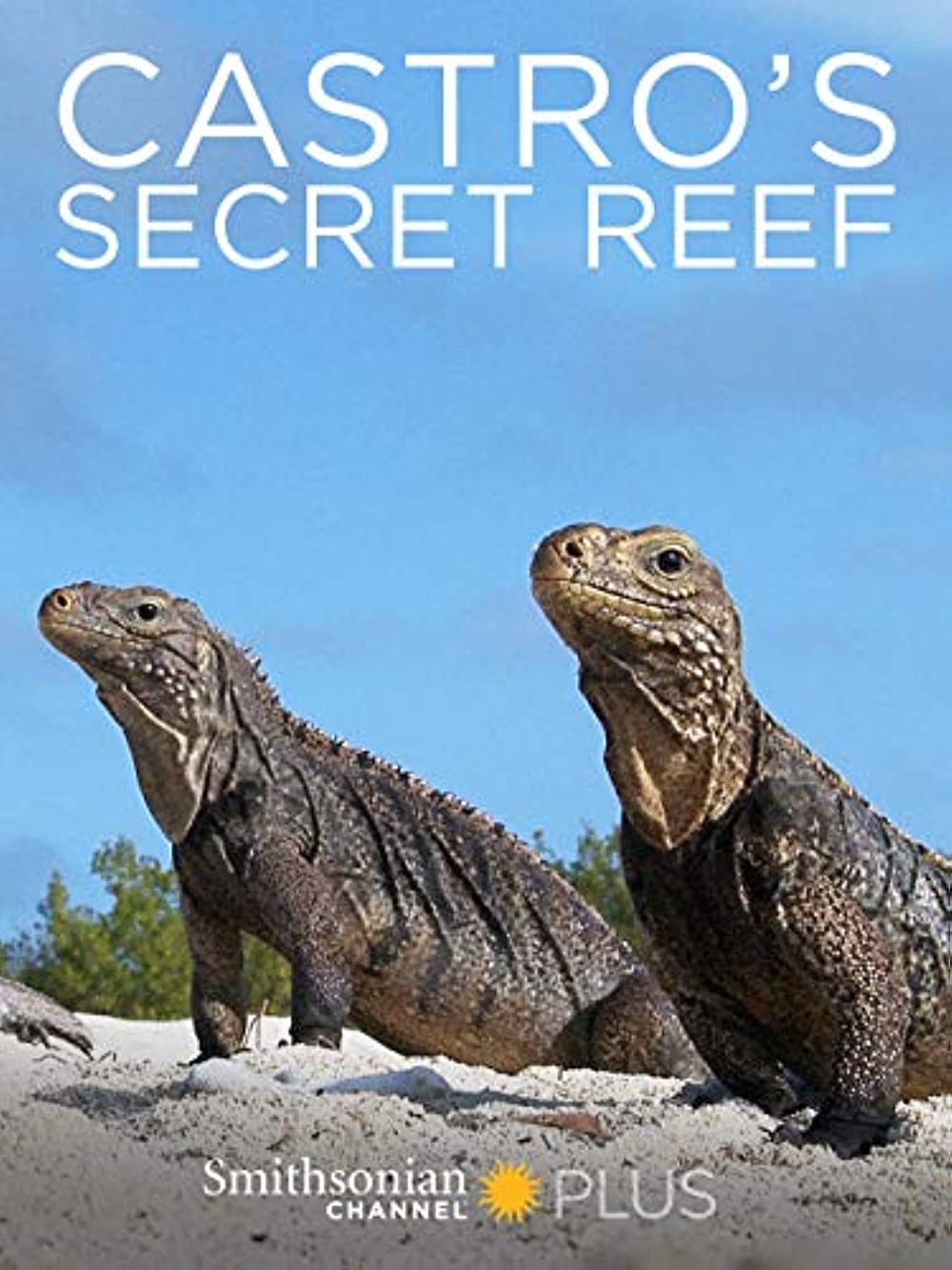 Castro's Secret Reef (2016)