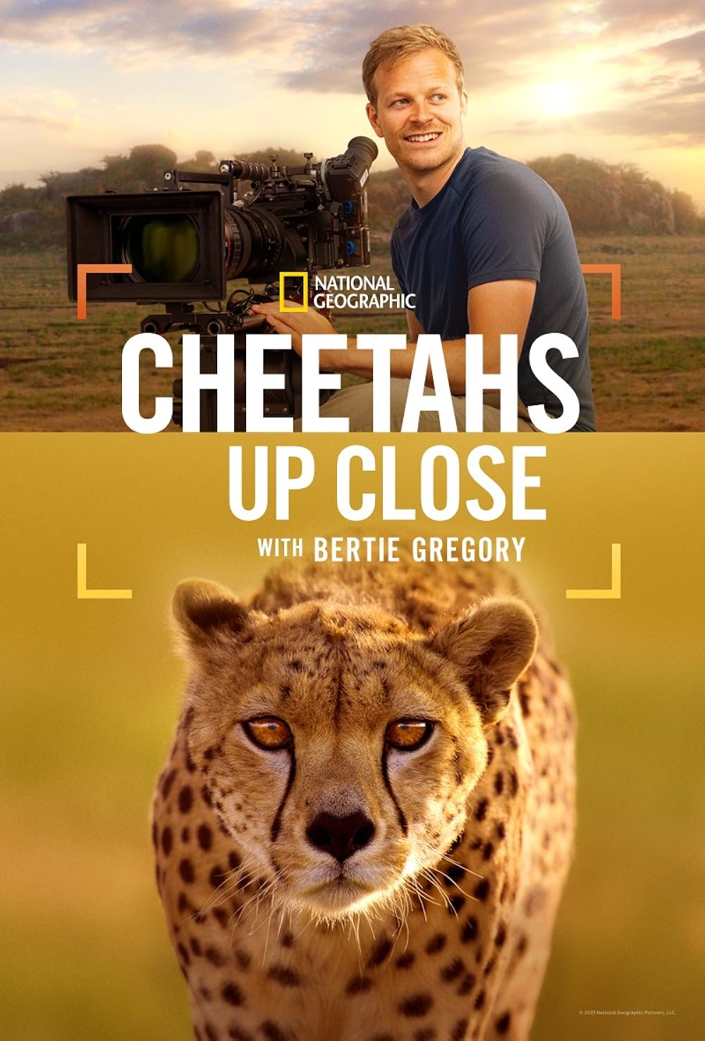 Cheetahs Up Close With Bertie Gregory (2026)