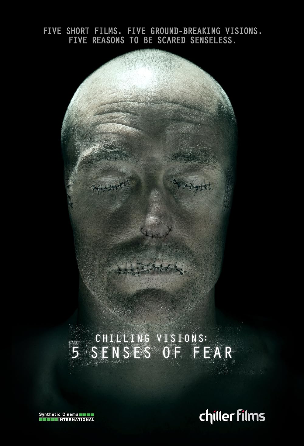 Chilling Visions - 5 Senses Of Fear (2013)