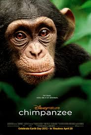 Chimpanzee (2012)