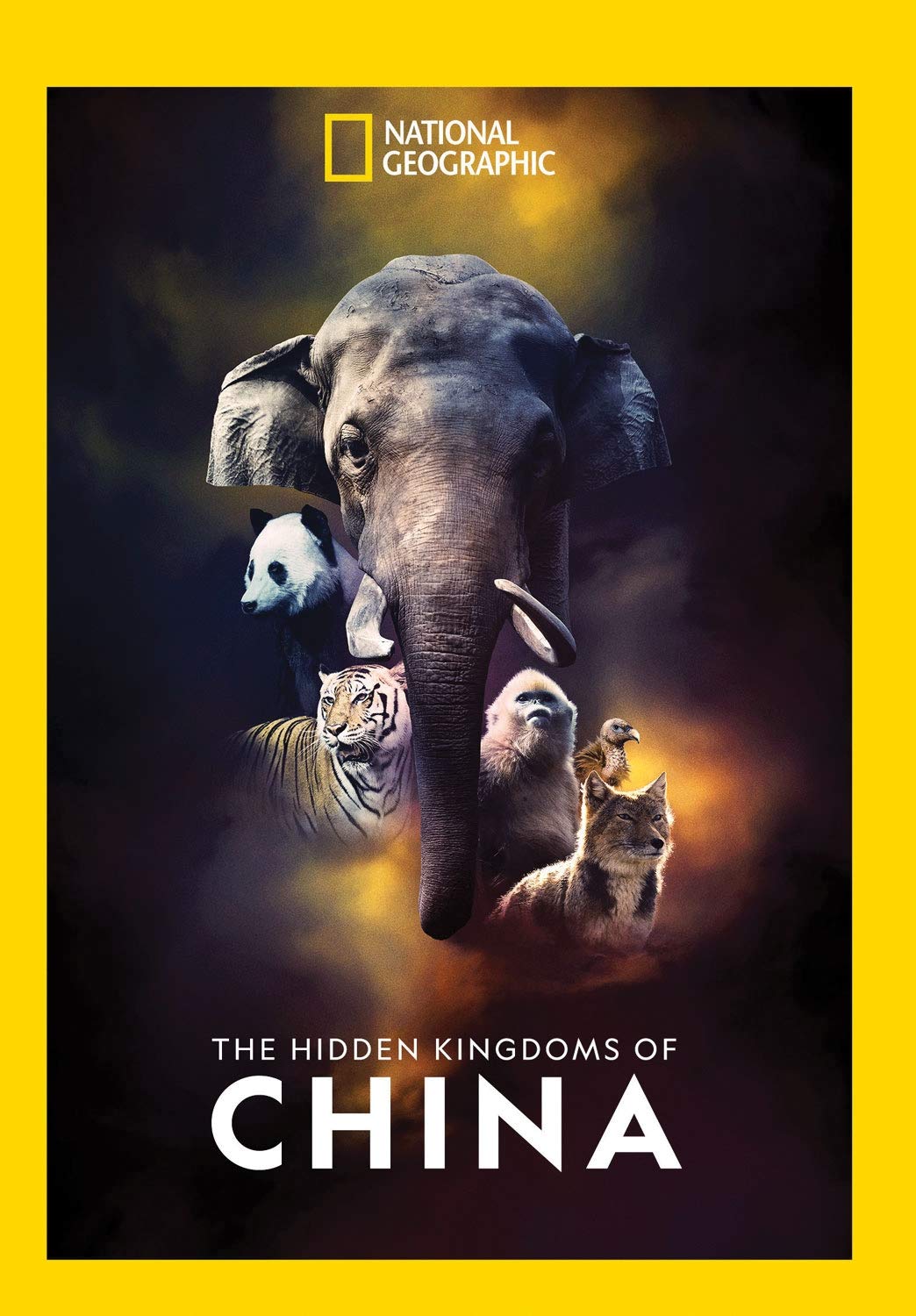 China's Hidden Kingdom (2020)