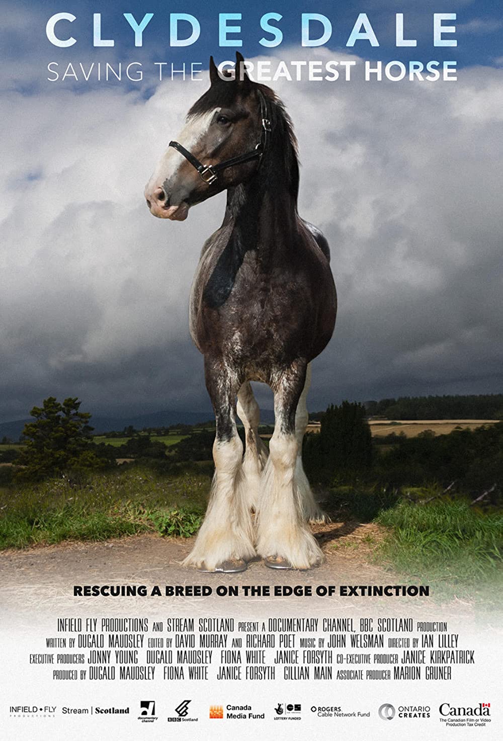 Clydesdale - Saving The Greatest Horse (2020)