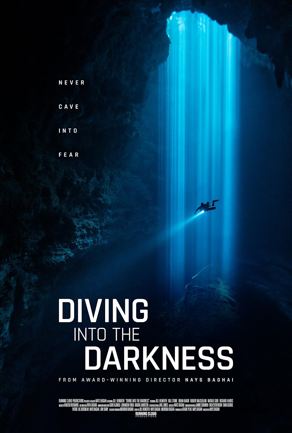 Diving Into The Darkness (2024)