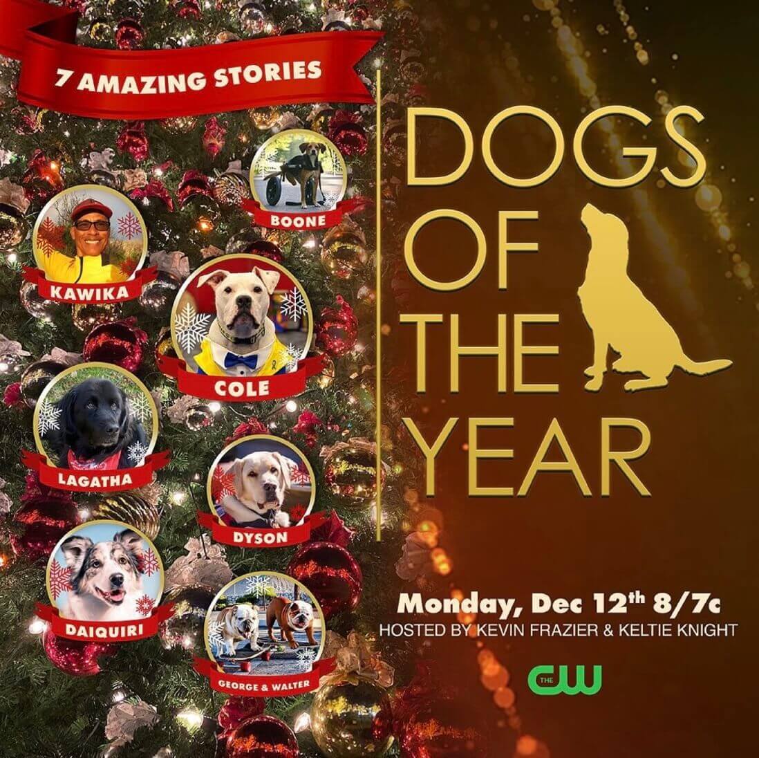 Dogs Of The Year 2022 (2022)
