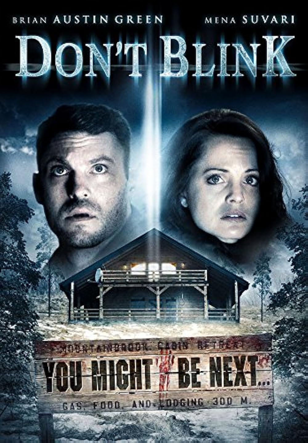 Don't Blink (2014) Brian Austin Green