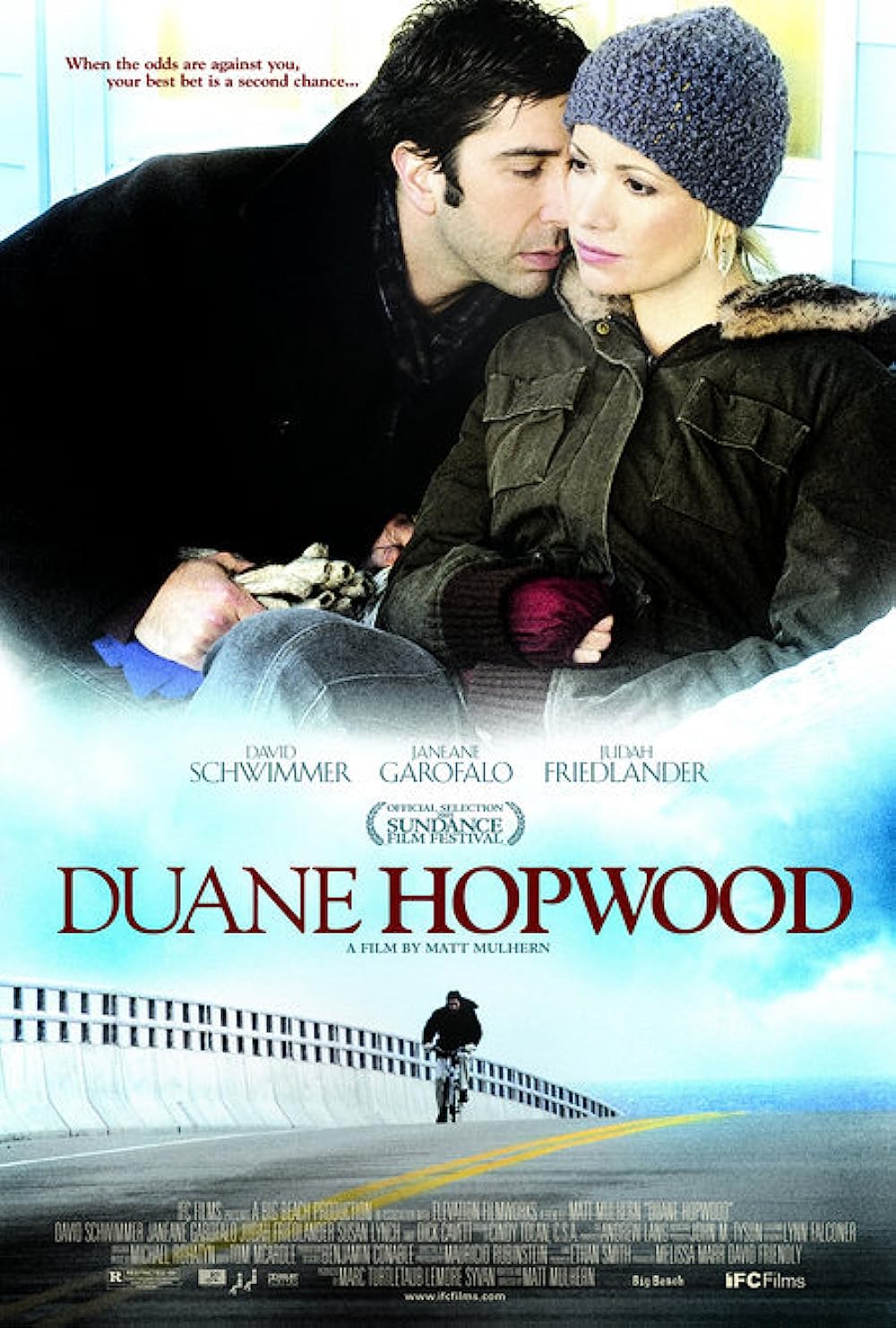 Duane Hopwood (2005) David Schwimmer