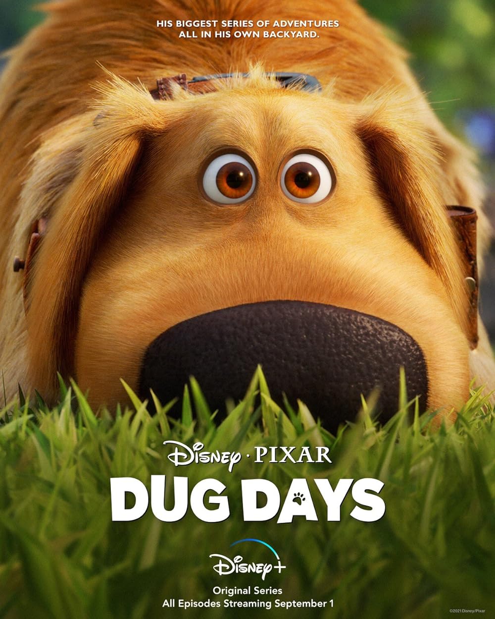 Dug Days - Season One (2021)