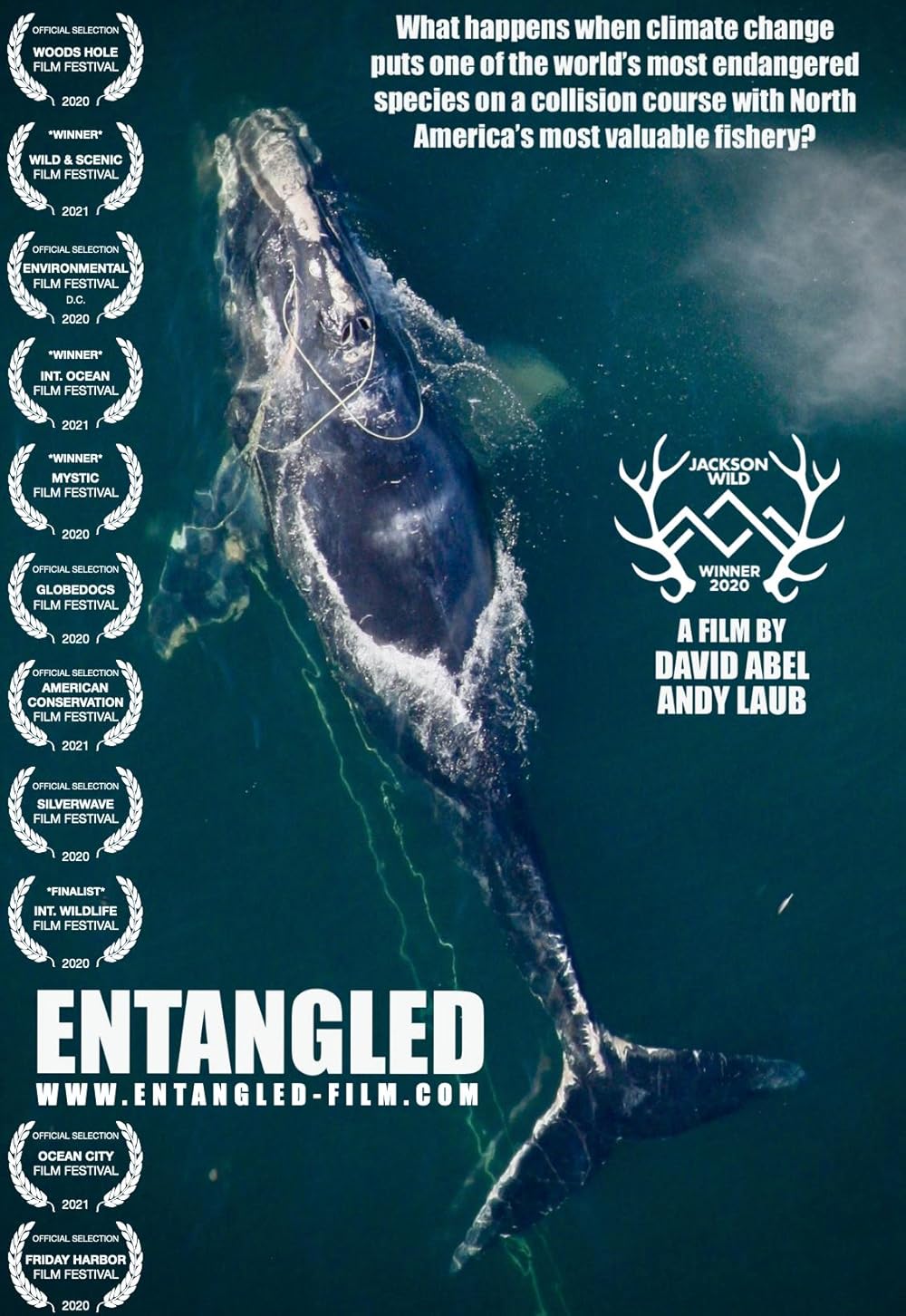 Entangled - The Race To Save Right Whales From Extinction (2020)