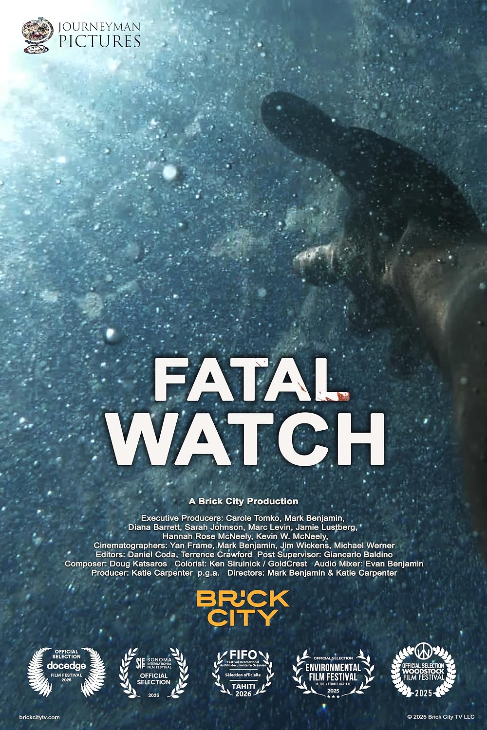 Fatal Watch (2025)