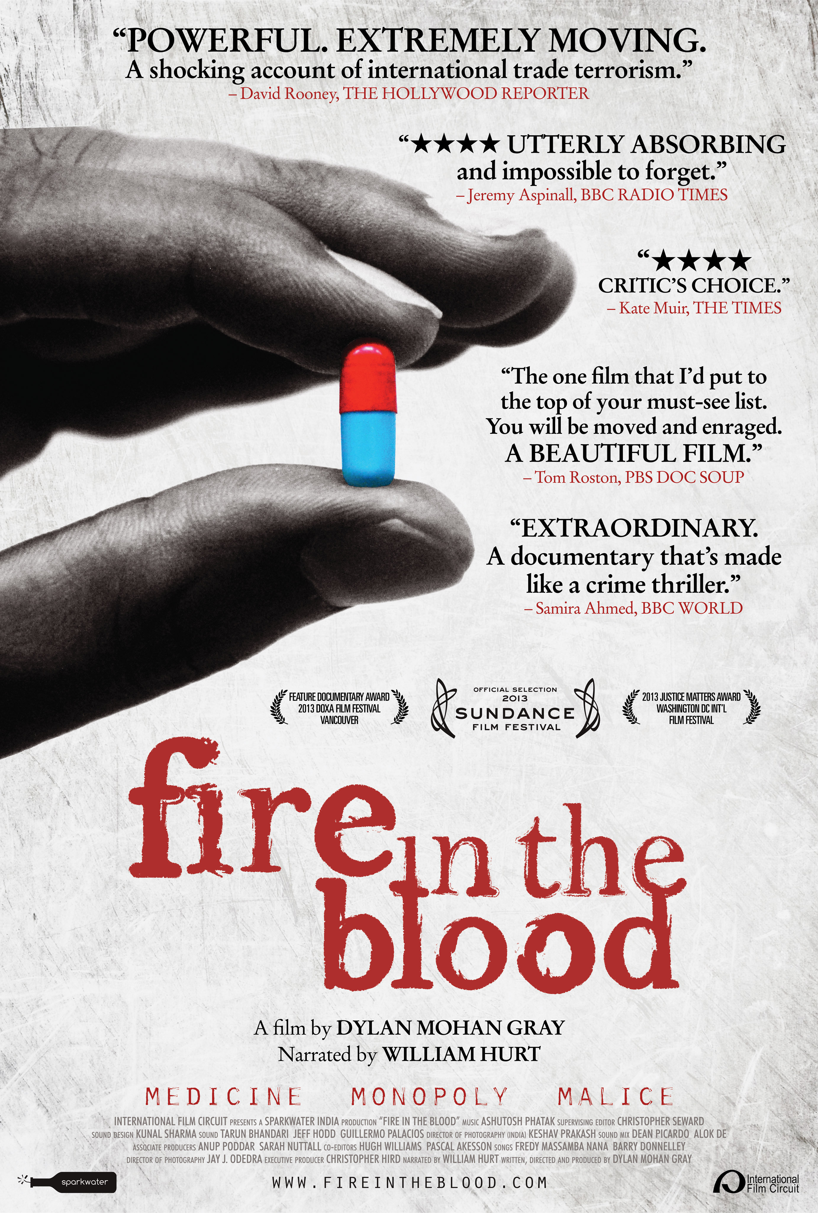 Fire In The Blood (2013)