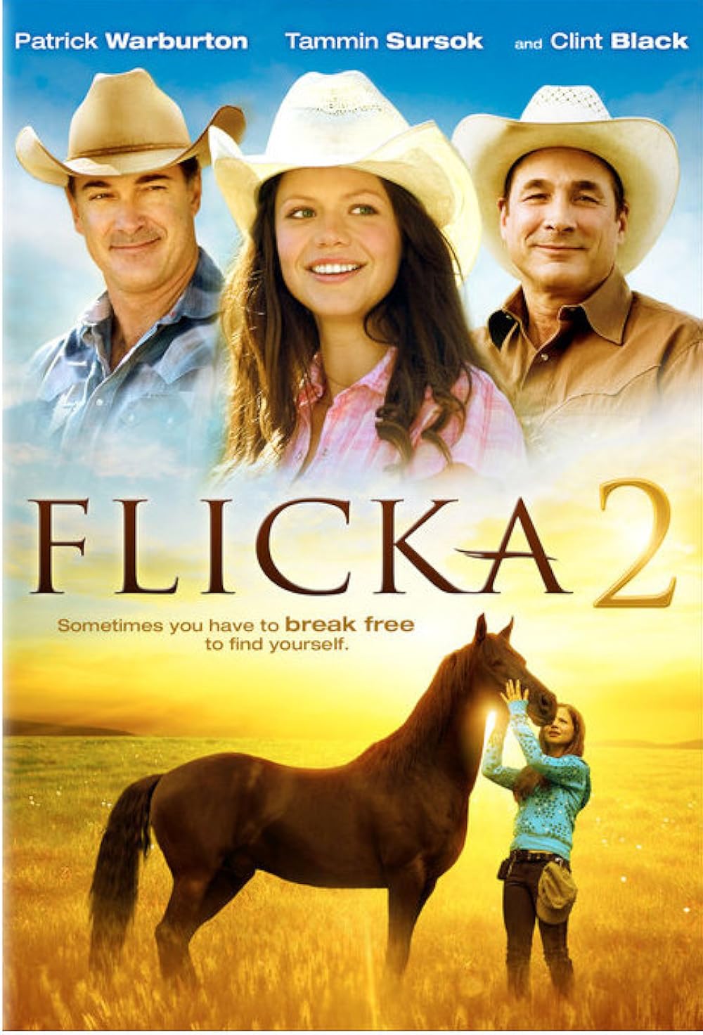 Flicka 2 (2010)