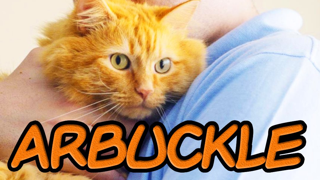 Garfield - Arbuckle (2019)