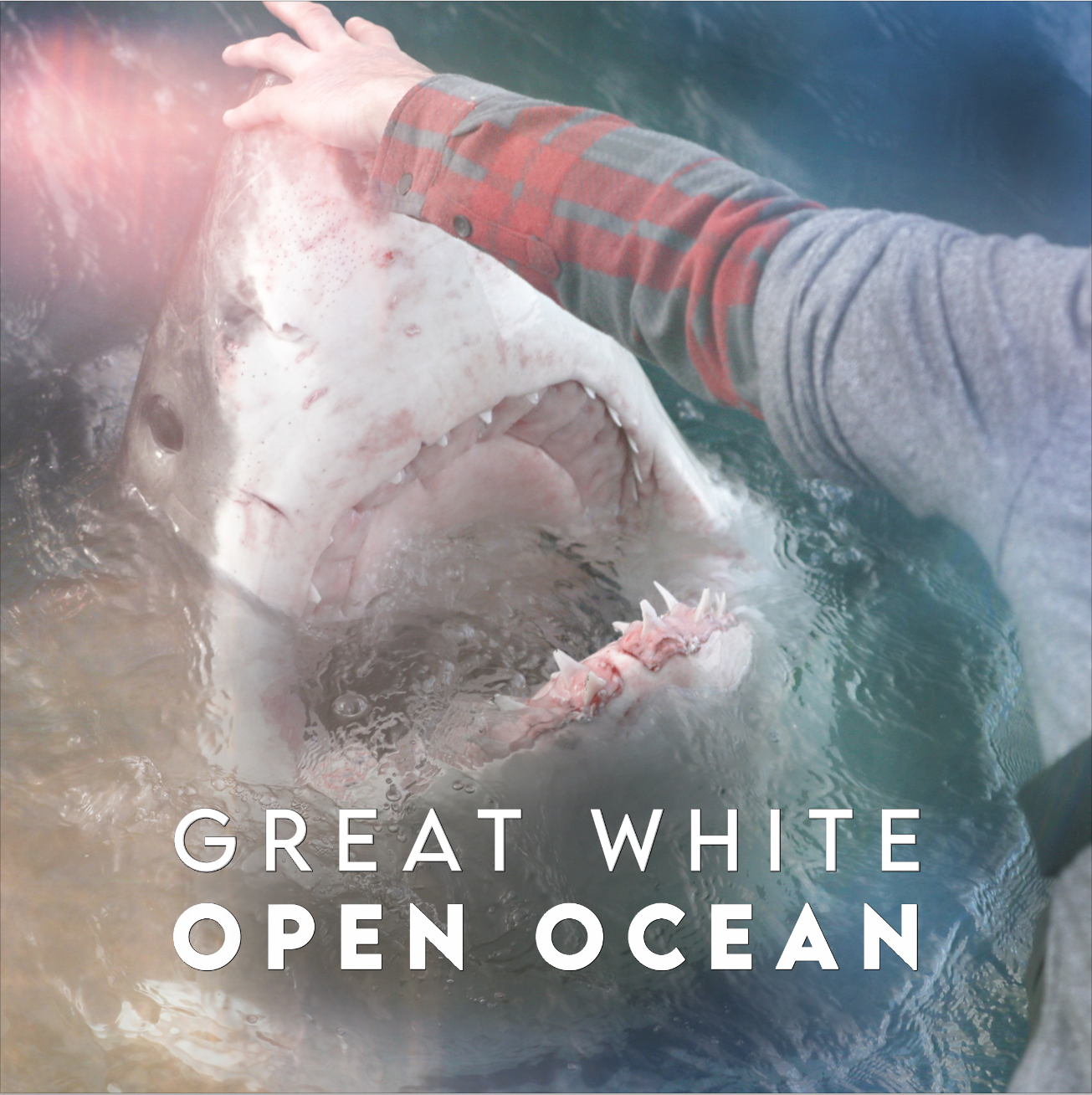 Great White Open Ocean (2022)