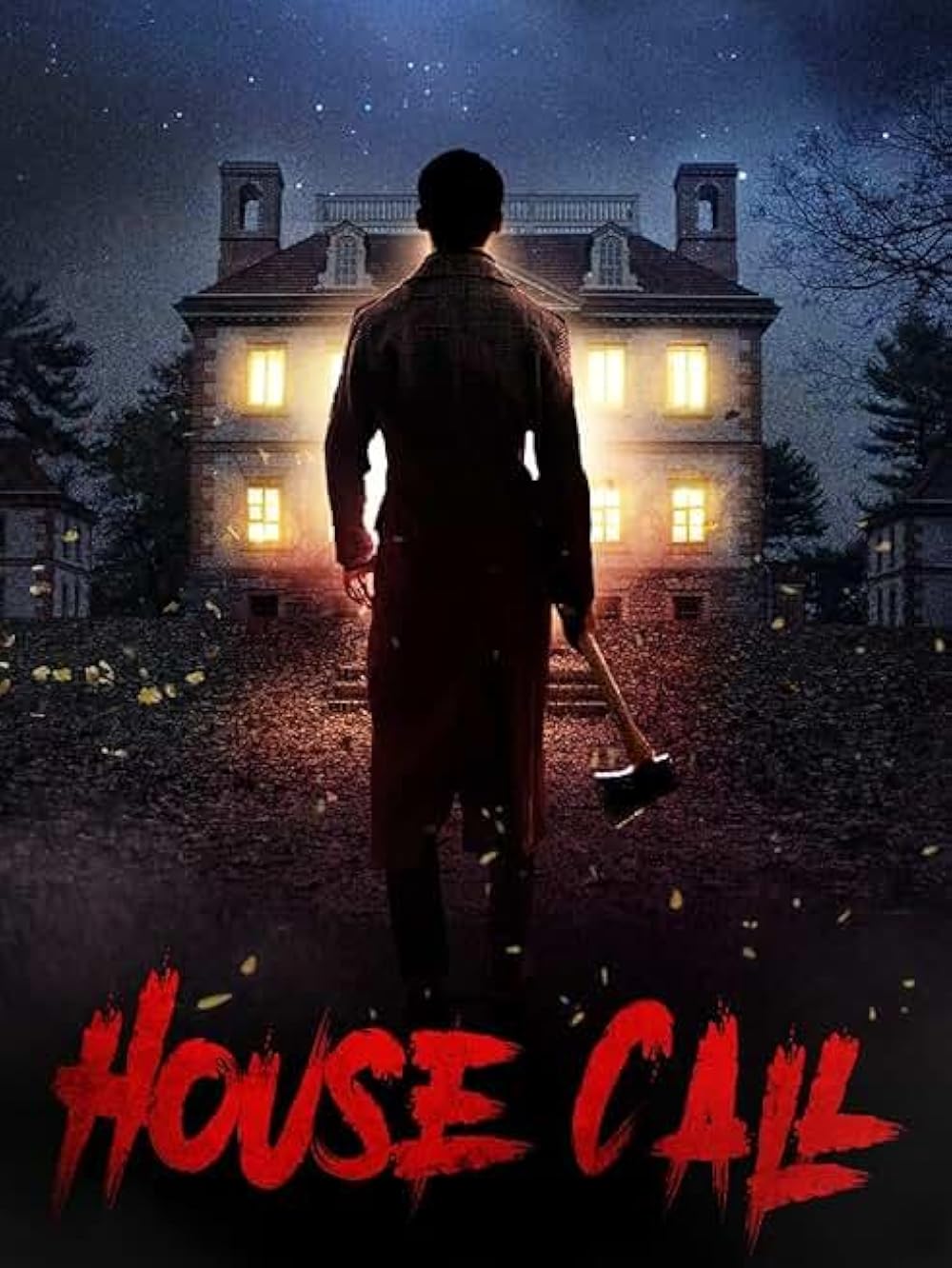 House Call (2013)