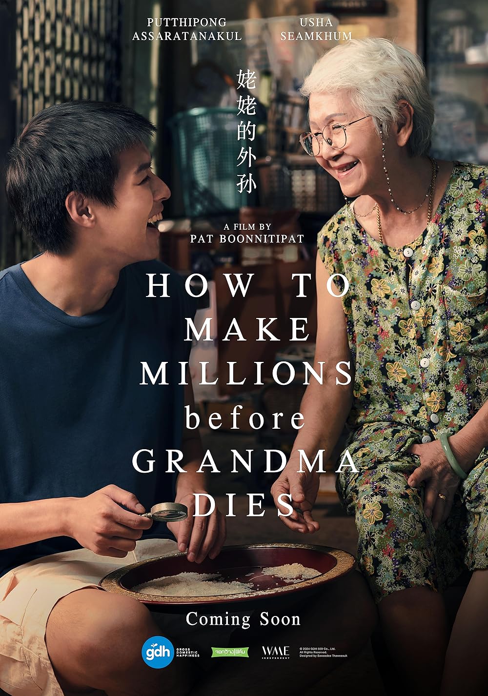 How To Make Millions Before Grandma Dies (2024)
