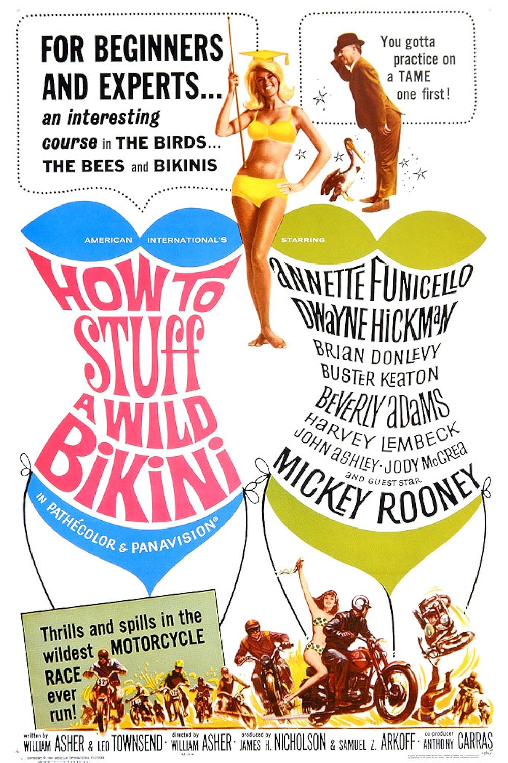 How To Stuff A Wild Bikini (1965)
