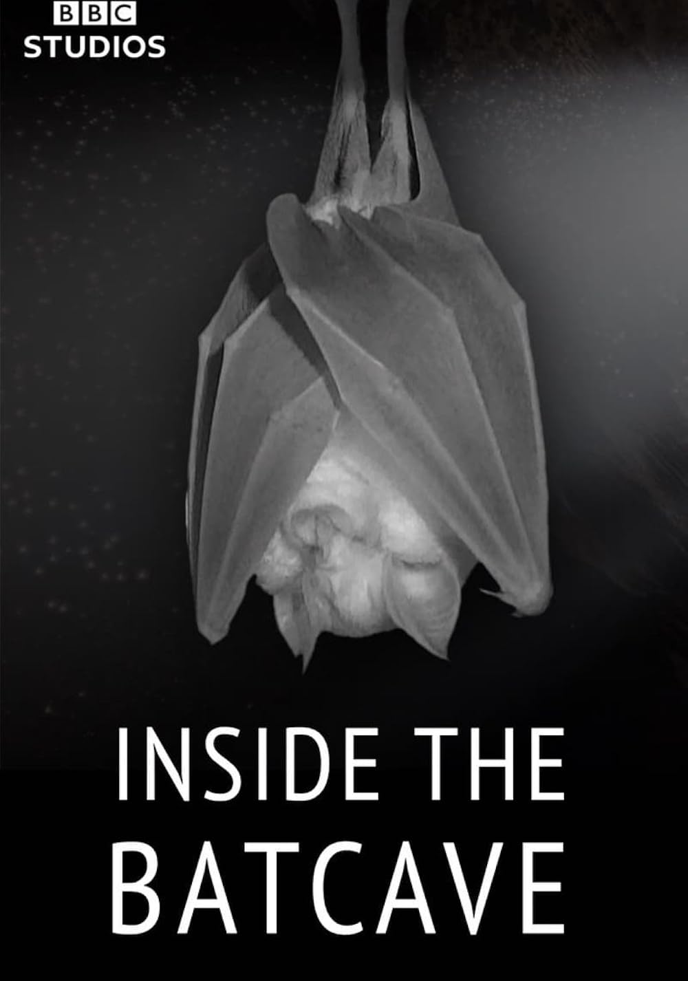 Inside The Bat Cave (2020)