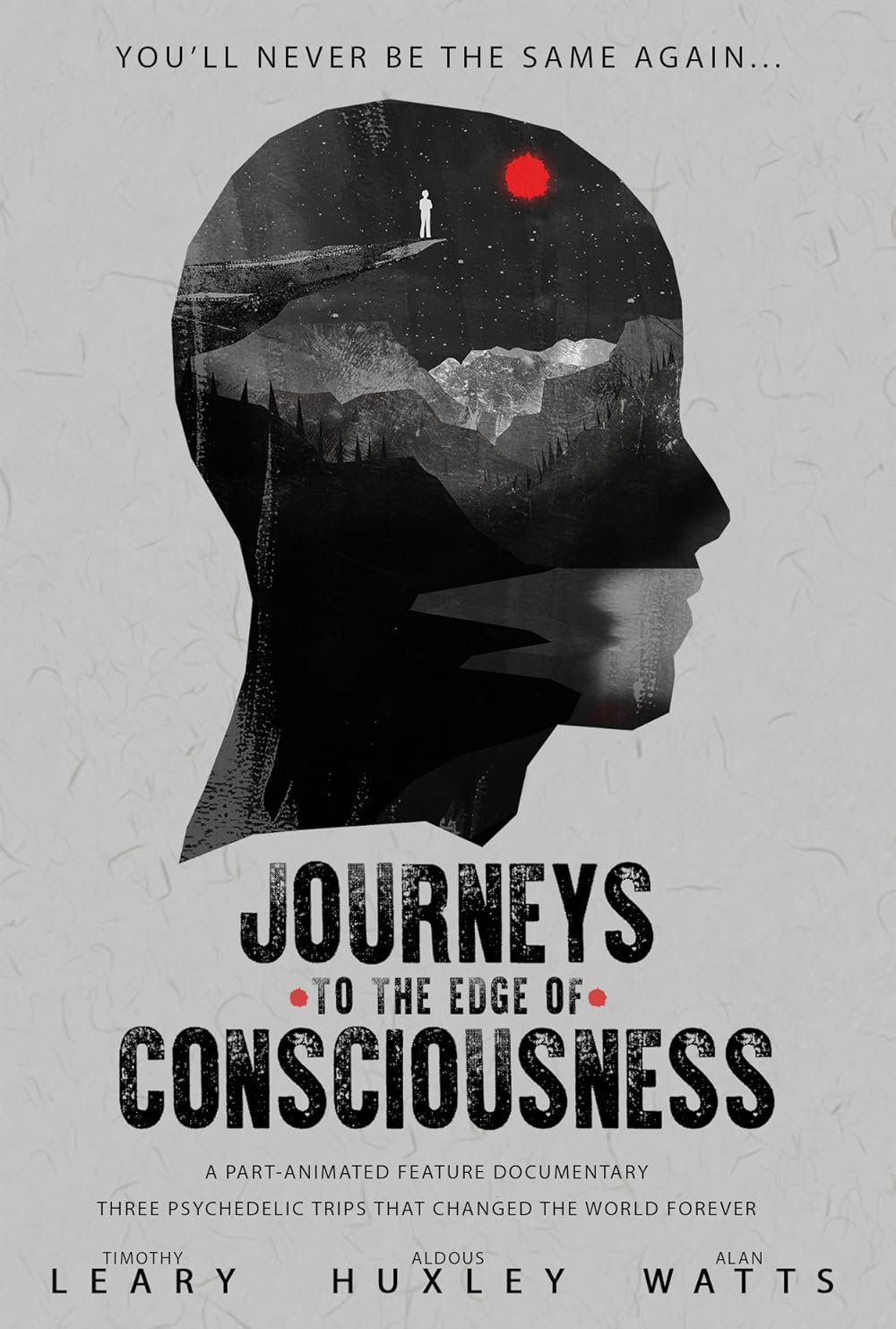 Journeys To The Edge Of Consciousness (2019)