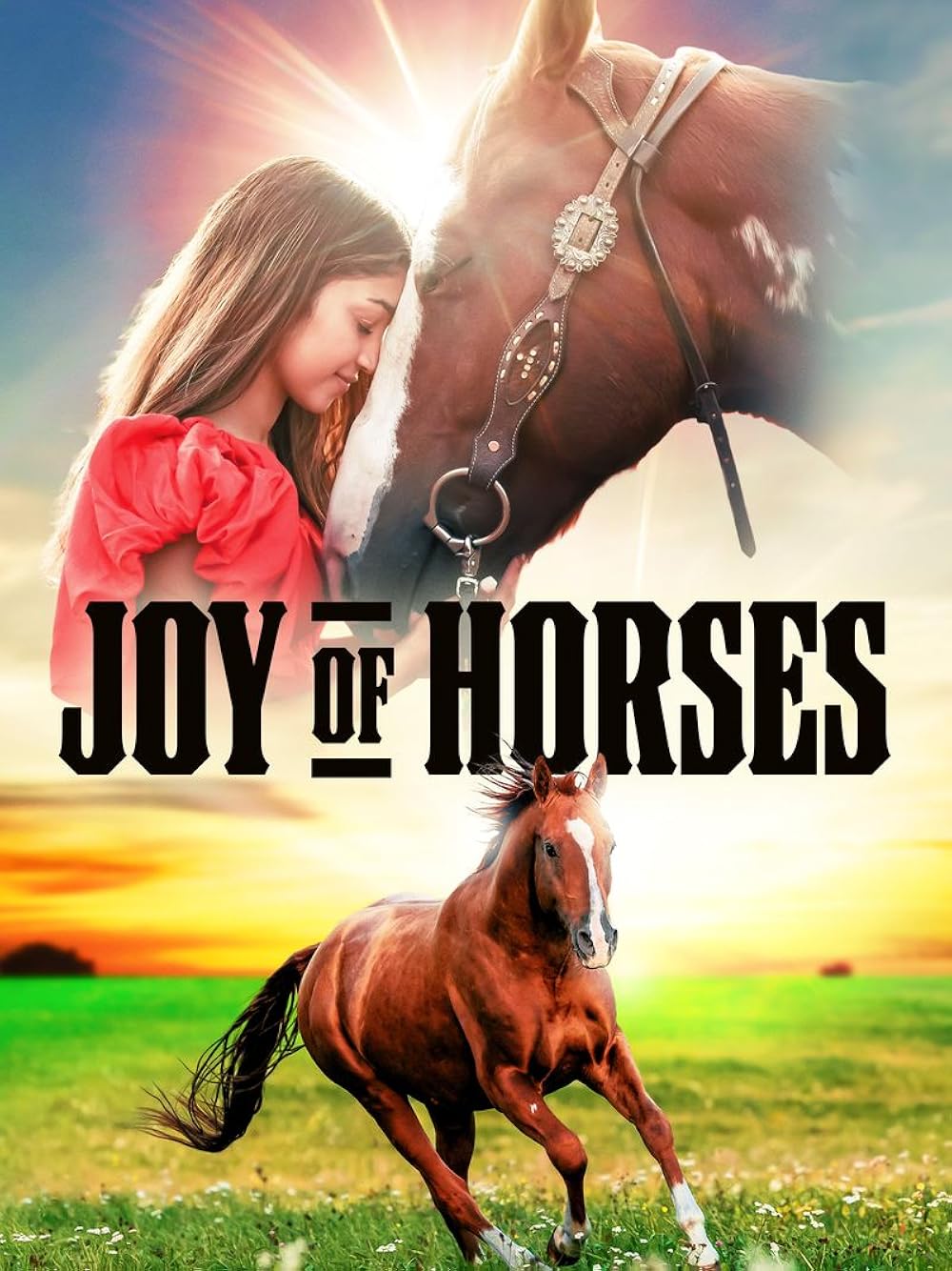 Joy Of Horses (2024)