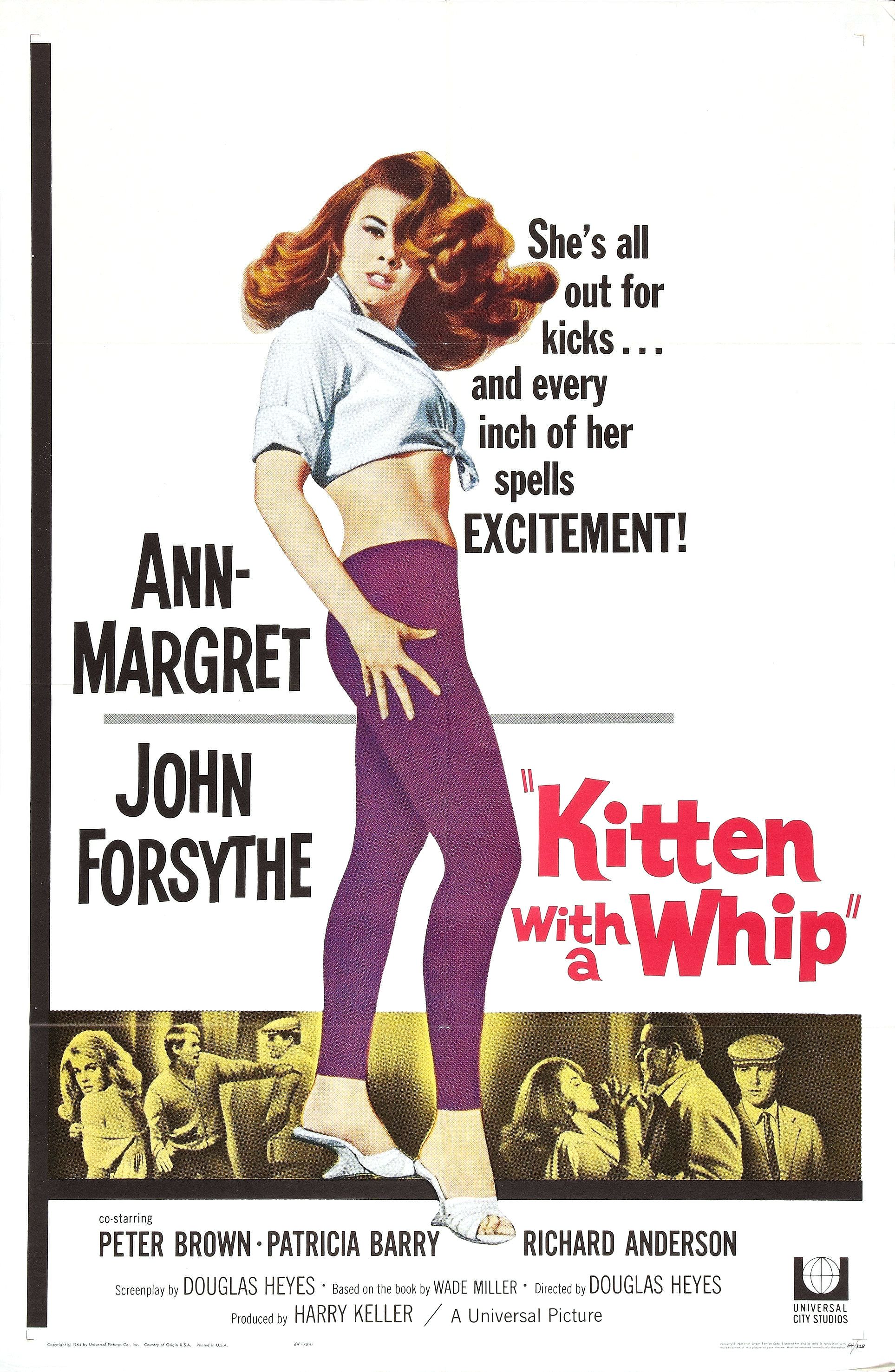 Kitten With A Whip (1964)