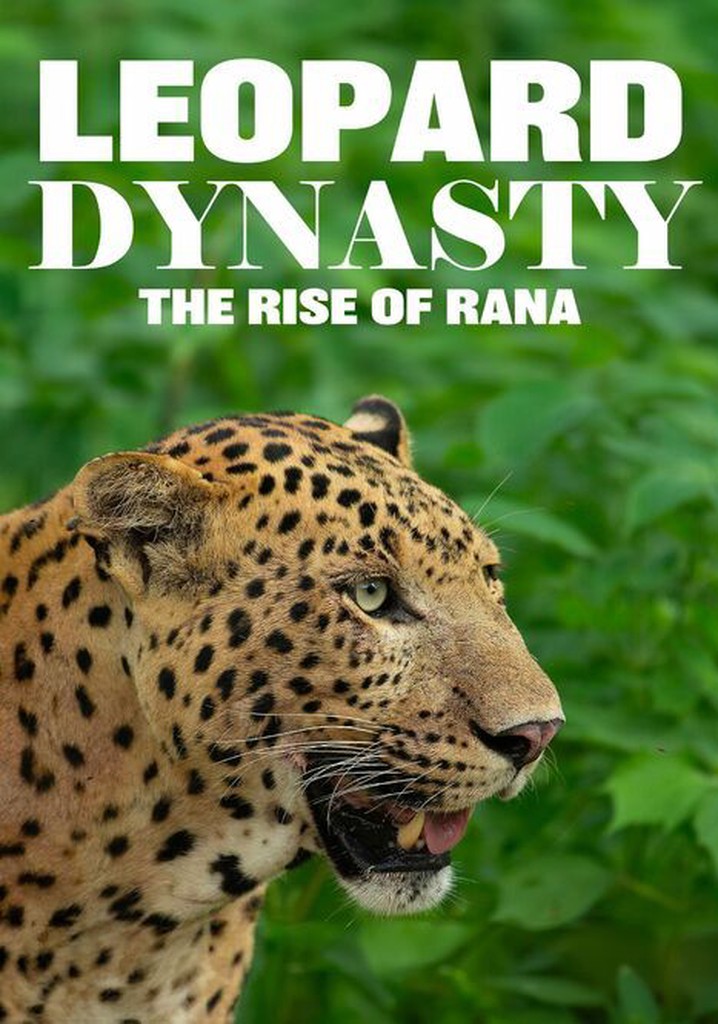 Leopard Dynasty - The Rise Of Rana (2025)