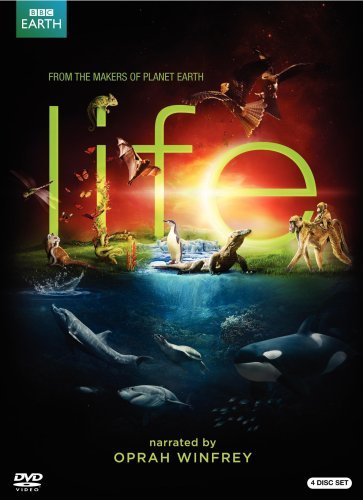 Life (2009)