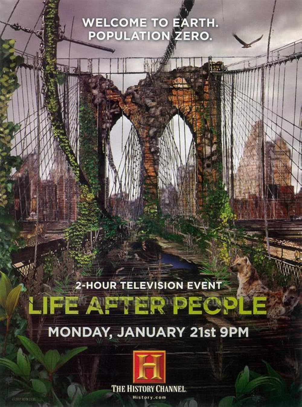 Life After People (2008)