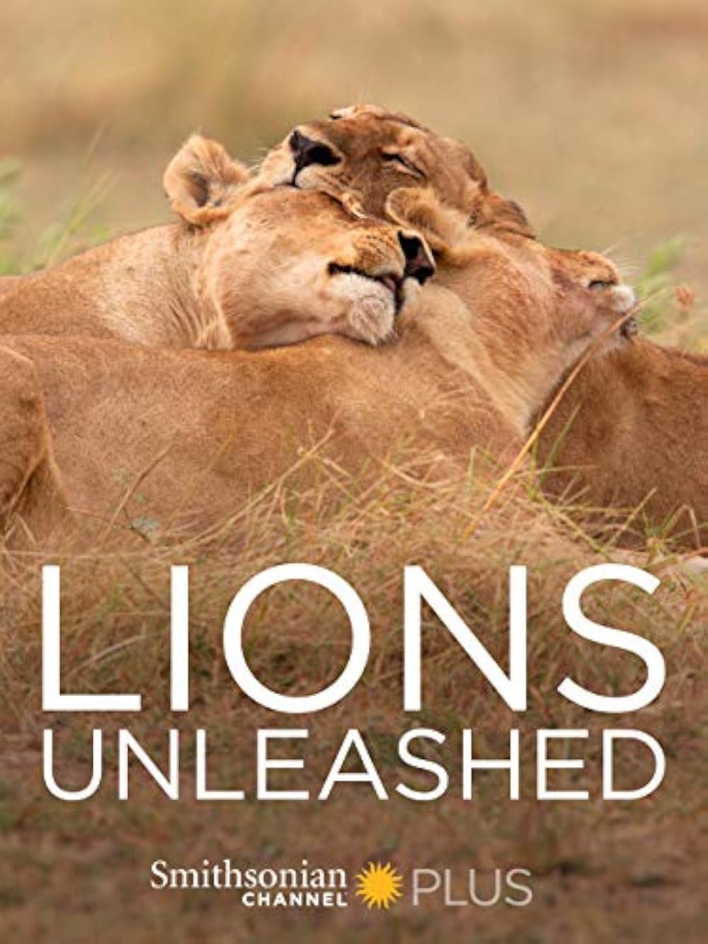Lion's Unleashed (2017)