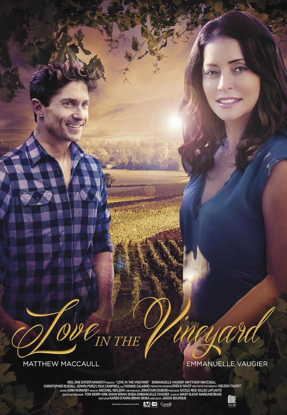 Love In The Vineyard (2016)