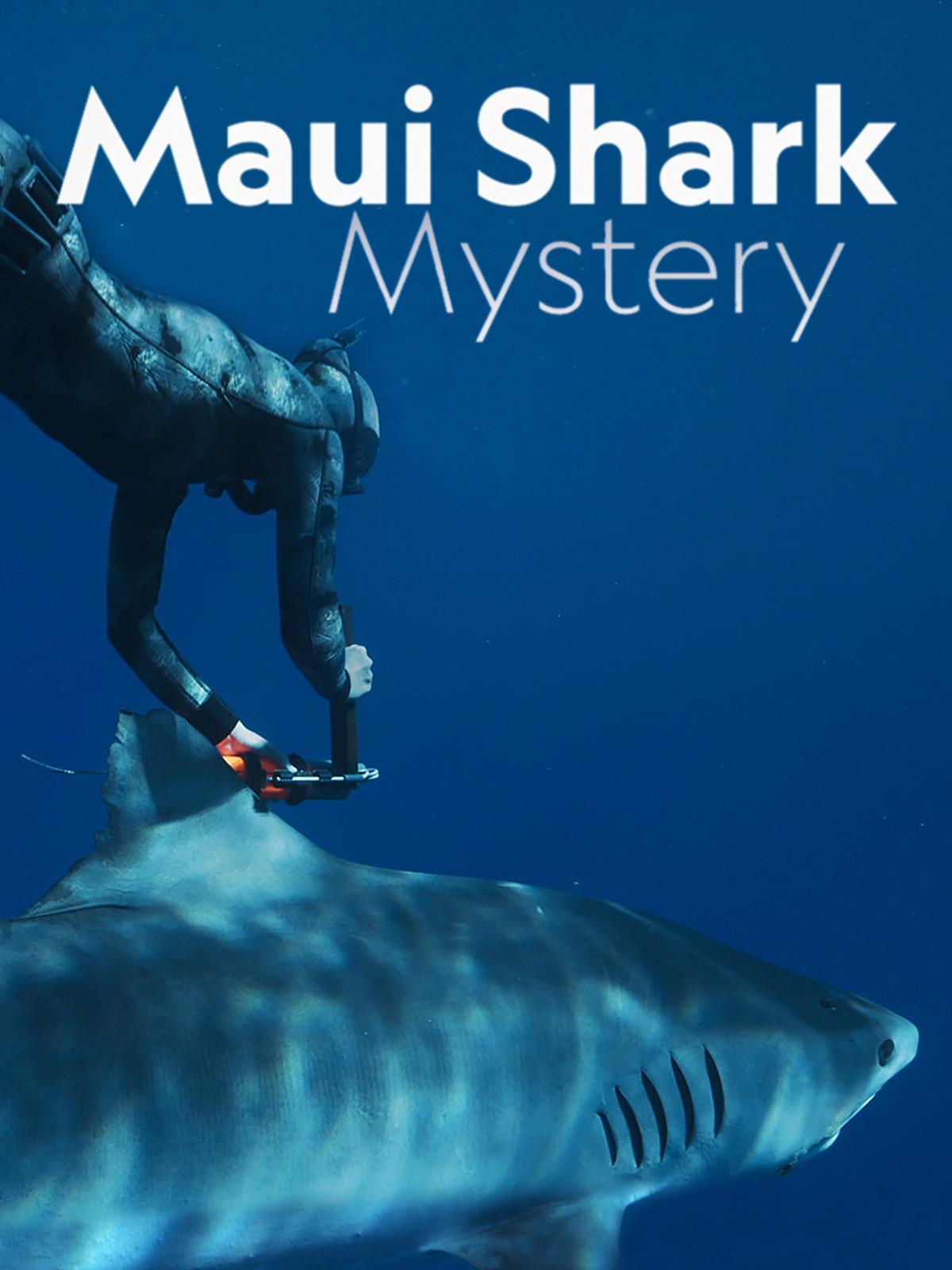 Maui Shark Mystery (2022)