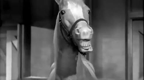 Mister Ed - Season One (1961) 5 DVD Set