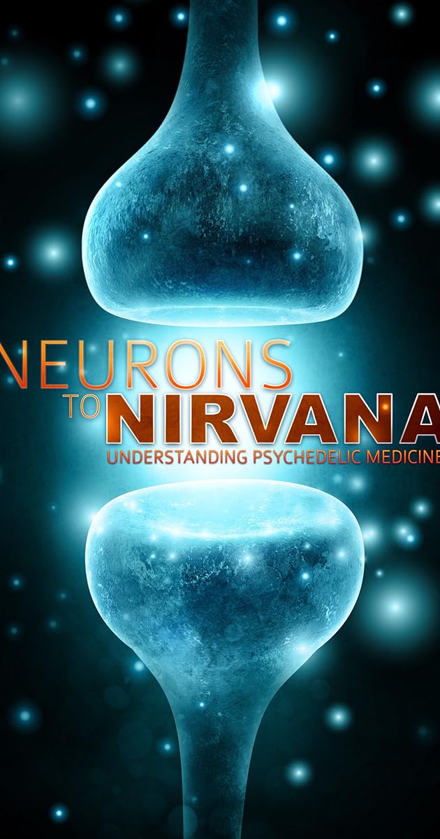 Neurons To Nirvana (2013)
