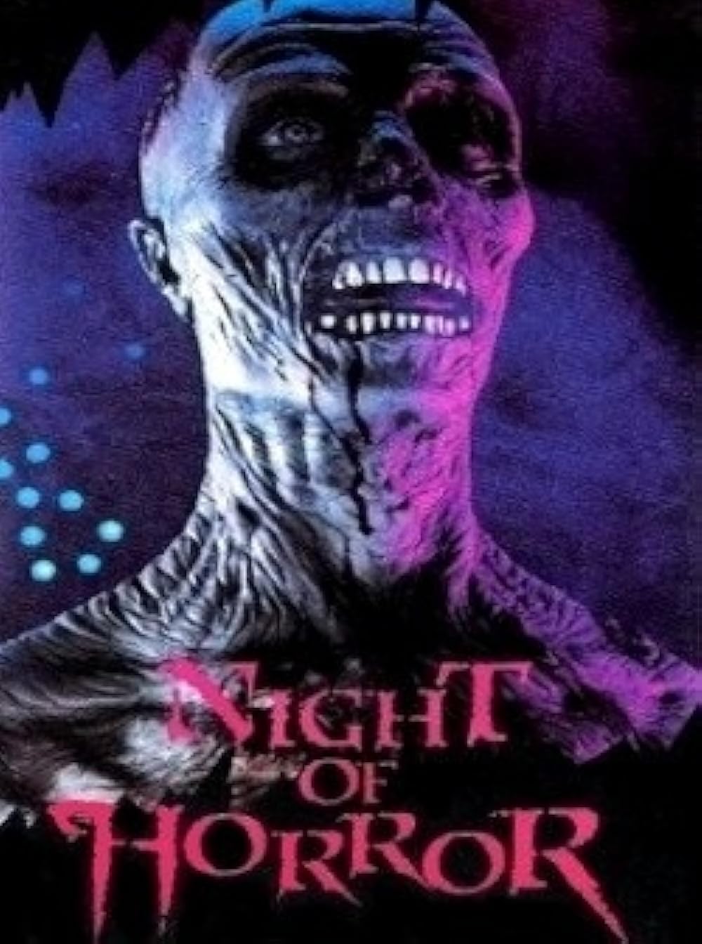 Night Of Horror (1981)