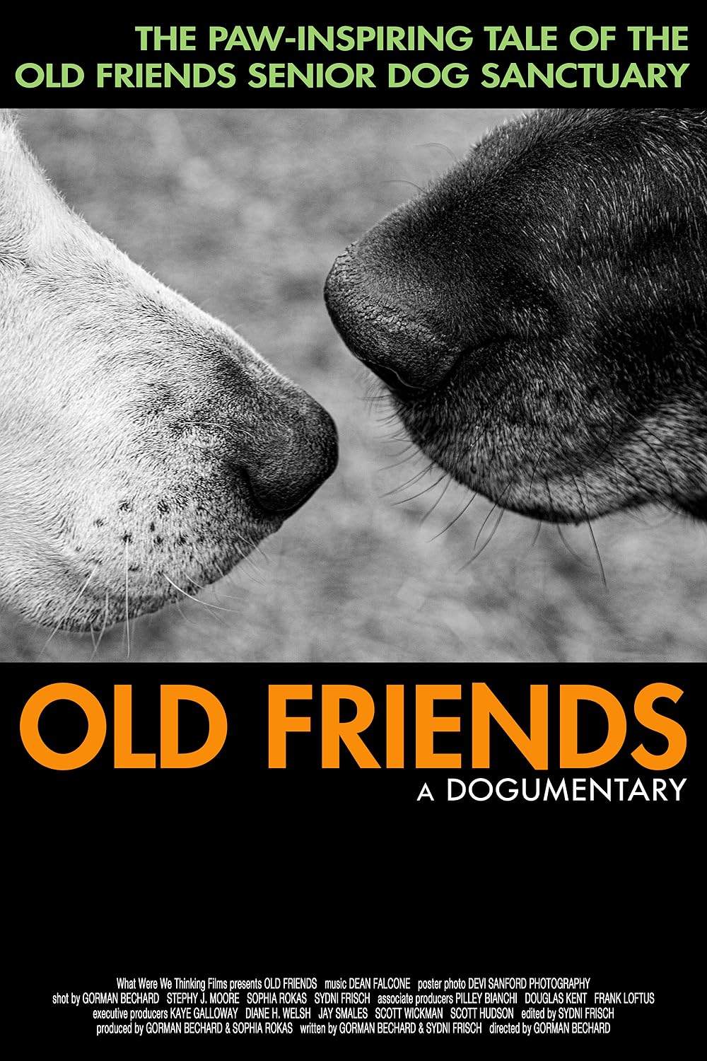 Old Friends - A Dogumentary (2022)