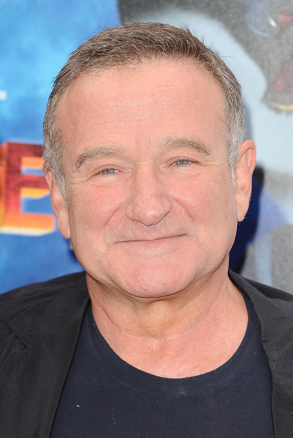 One Night With Robin Williams (2001)