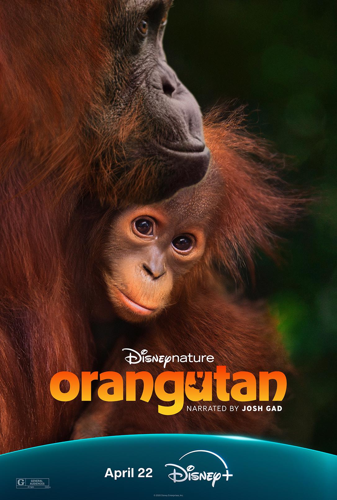 Orangutan (2021)
