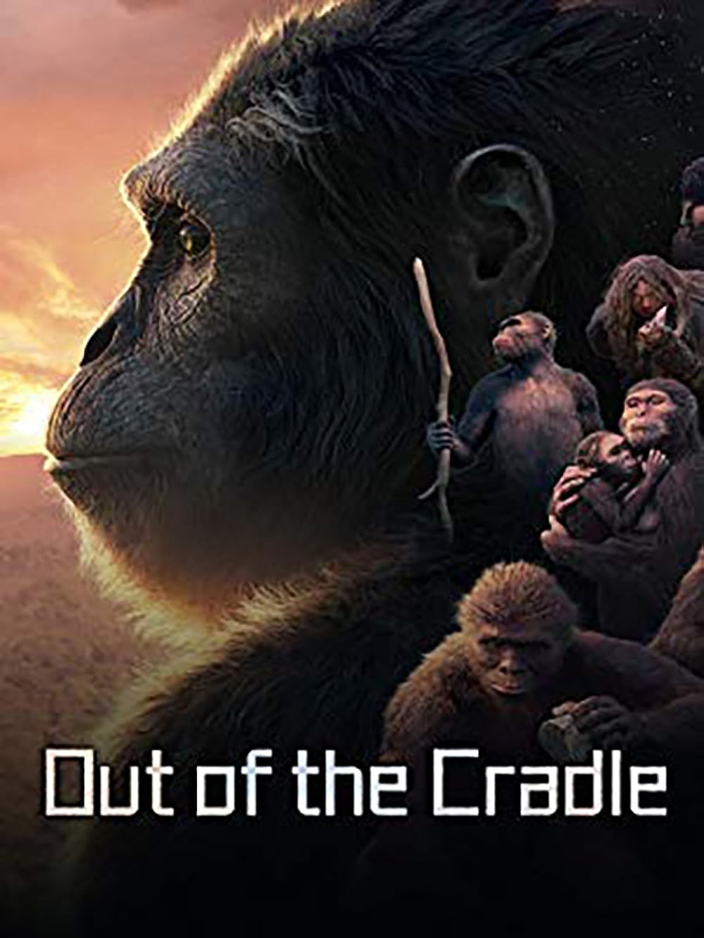 Out Of The Cradle (2018)