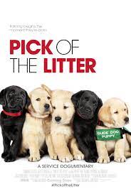 Pick Of The Litter (2018)