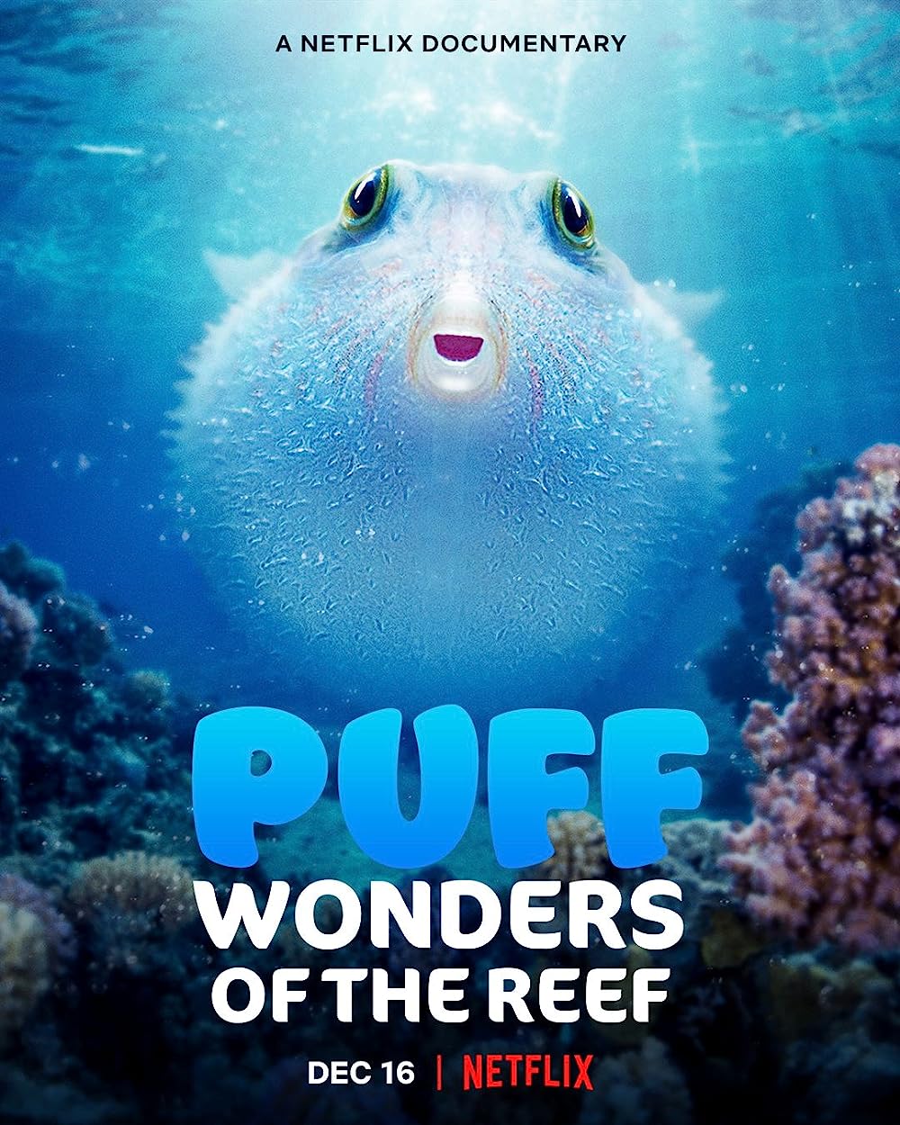 Puff - Wonders Of The Reef (2021)