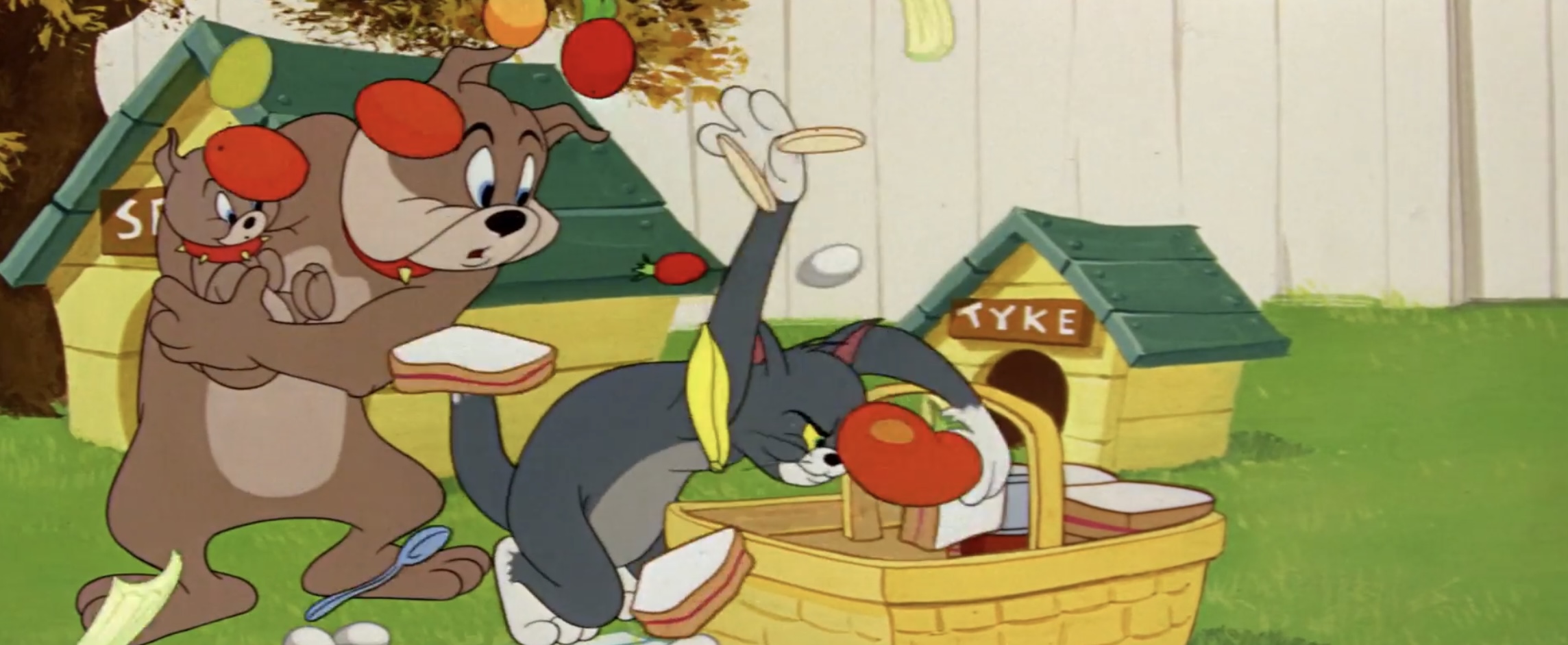 Pup On A Picnic (1955) Tom And Jerry