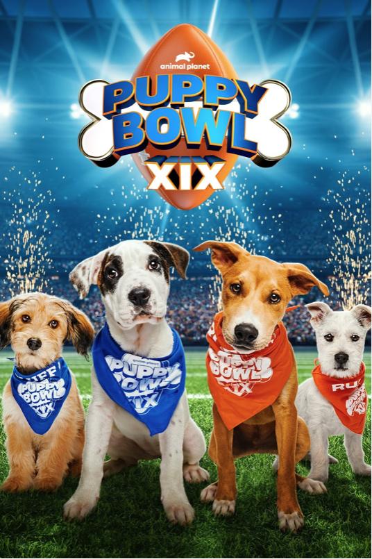 Puppy Bowl 19 XIX - Pregame Show (2023)