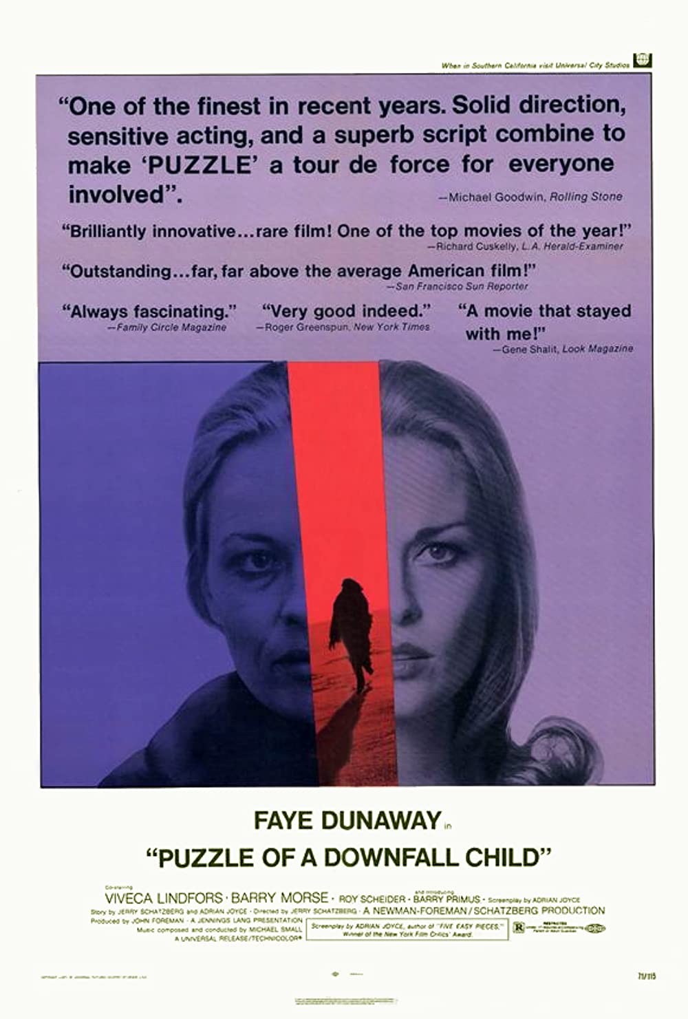 Puzzle Of A Downfall Child (1970) Faye Dunaway